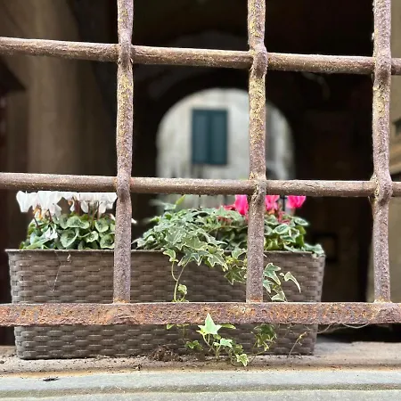 In Centro Lovely * 루카